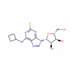 OC[C@H]1O[C@@H](n2cnc3c(NC4CCC4)nc(Cl)nc32)[C@H](O)[C@@H]1O ZINC000013804184