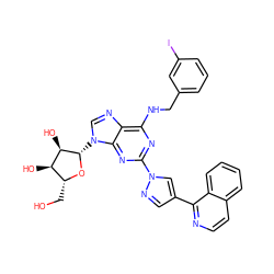 OC[C@H]1O[C@@H](n2cnc3c(NCc4cccc(I)c4)nc(-n4cc(-c5nccc6ccccc56)cn4)nc32)[C@H](O)[C@@H]1O ZINC000028387235