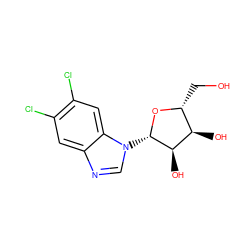 OC[C@H]1O[C@@H](n2cnc3cc(Cl)c(Cl)cc32)[C@H](O)[C@@H]1O ZINC000003873418