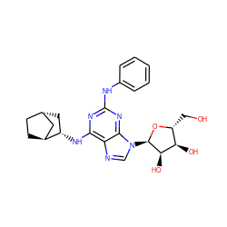 OC[C@H]1O[C@H](n2cnc3c(N[C@H]4C[C@H]5CC[C@H]4C5)nc(Nc4ccccc4)nc32)[C@H](O)[C@@H]1O ZINC000261178266