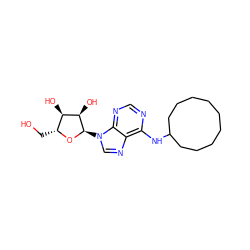 OC[C@H]1O[C@H](n2cnc3c(NC4CCCCCCCCC4)ncnc32)[C@H](O)[C@@H]1O ZINC000048998139