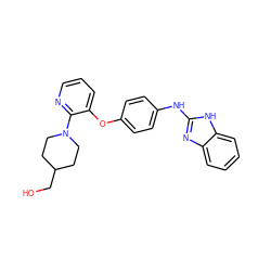 OCC1CCN(c2ncccc2Oc2ccc(Nc3nc4ccccc4[nH]3)cc2)CC1 ZINC000095559579