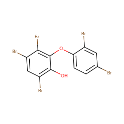 Oc1c(Br)cc(Br)c(Br)c1Oc1ccc(Br)cc1Br ZINC000095606620