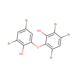 Oc1c(Br)cc(Br)cc1Oc1c(Br)cc(Br)c(Br)c1O ZINC000095588119