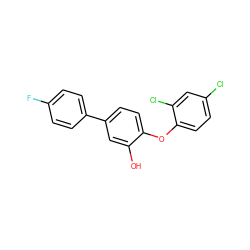 Oc1cc(-c2ccc(F)cc2)ccc1Oc1ccc(Cl)cc1Cl ZINC000029061114