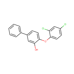 Oc1cc(-c2ccccc2)ccc1Oc1ccc(Cl)cc1Cl ZINC000029059800