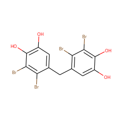 Oc1cc(Cc2cc(O)c(O)c(Br)c2Br)c(Br)c(Br)c1O ZINC000028979748