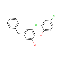 Oc1cc(Cc2ccccc2)ccc1Oc1ccc(Cl)cc1Cl ZINC000029061009