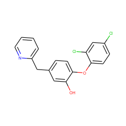 Oc1cc(Cc2ccccn2)ccc1Oc1ccc(Cl)cc1Cl ZINC000029060814