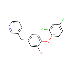 Oc1cc(Cc2cccnc2)ccc1Oc1ccc(Cl)cc1Cl ZINC000029060819