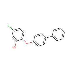 Oc1cc(Cl)ccc1Oc1ccc(-c2ccccc2)cc1 ZINC000064479902