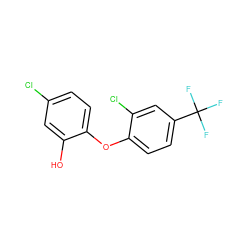 Oc1cc(Cl)ccc1Oc1ccc(C(F)(F)F)cc1Cl ZINC000095602817