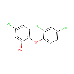 Oc1cc(Cl)ccc1Oc1ccc(Cl)cc1Cl ZINC000000002216