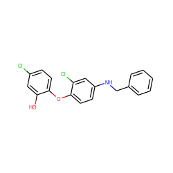 Oc1cc(Cl)ccc1Oc1ccc(NCc2ccccc2)cc1Cl ZINC000028562911