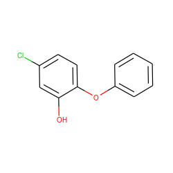 Oc1cc(Cl)ccc1Oc1ccccc1 ZINC000013559000