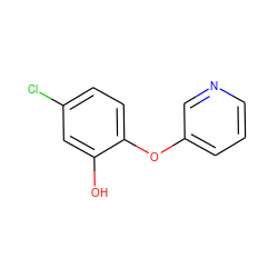 Oc1cc(Cl)ccc1Oc1cccnc1 ZINC000064479890