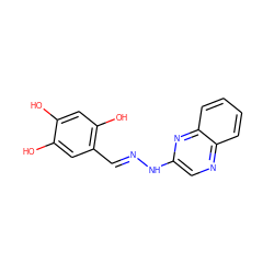 Oc1cc(O)c(/C=N/Nc2cnc3ccccc3n2)cc1O ZINC001772593325