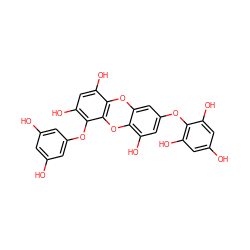 Oc1cc(O)cc(Oc2c(O)cc(O)c3c2Oc2c(O)cc(Oc4c(O)cc(O)cc4O)cc2O3)c1 ZINC000015149371