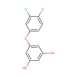 Oc1cc(O)cc(Oc2ccc(Cl)c(Cl)c2)c1 ZINC000095920684