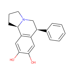 Oc1cc2c(cc1O)[C@H]1CCCN1C[C@H]2c1ccccc1 ZINC000029232058