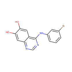 Oc1cc2ncnc(Nc3cccc(Br)c3)c2cc1O ZINC000003815038