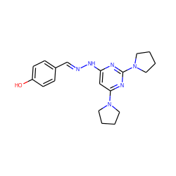 Oc1ccc(/C=N/Nc2cc(N3CCCC3)nc(N3CCCC3)n2)cc1 ZINC000004119300