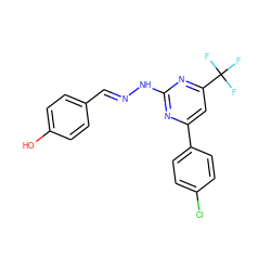 Oc1ccc(/C=N/Nc2nc(-c3ccc(Cl)cc3)cc(C(F)(F)F)n2)cc1 ZINC000004856021