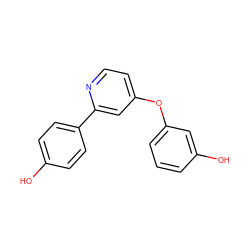 Oc1ccc(-c2cc(Oc3cccc(O)c3)ccn2)cc1 ZINC000095575085