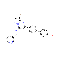 Oc1ccc(-c2ccc(-c3cc(NCc4cccnc4)n4ncc(Br)c4n3)cc2)cc1 ZINC001772639420