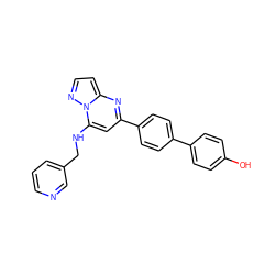 Oc1ccc(-c2ccc(-c3cc(NCc4cccnc4)n4nccc4n3)cc2)cc1 ZINC001772630316