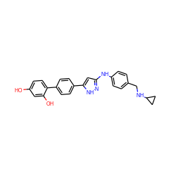 Oc1ccc(-c2ccc(-c3cc(Nc4ccc(CNC5CC5)cc4)n[nH]3)cc2)c(O)c1 ZINC000006718826