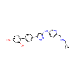 Oc1ccc(-c2ccc(-c3cc(Nc4ccc(CNCC5CC5)nc4)n[nH]3)cc2)c(O)c1 ZINC000028868366