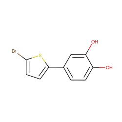 Oc1ccc(-c2ccc(Br)s2)cc1O ZINC000142485960