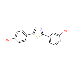 Oc1ccc(-c2cnc(-c3cccc(O)c3)s2)cc1 ZINC000040861098