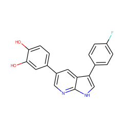 Oc1ccc(-c2cnc3[nH]cc(-c4ccc(F)cc4)c3c2)cc1O ZINC000220919541