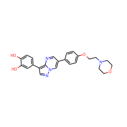 Oc1ccc(-c2cnn3cc(-c4ccc(OCCN5CCOCC5)cc4)cnc23)cc1O ZINC000064539310