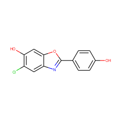 Oc1ccc(-c2nc3cc(Cl)c(O)cc3o2)cc1 ZINC000013583611