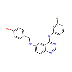 Oc1ccc(CNc2ccc3ncnc(Nc4cccc(Br)c4)c3c2)cc1 ZINC000082155430