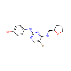 Oc1ccc(Nc2ncc(Br)c(NC[C@H]3CCCO3)n2)cc1 ZINC000299852031