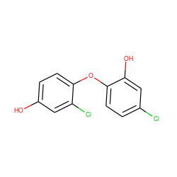 Oc1ccc(Oc2ccc(Cl)cc2O)c(Cl)c1 ZINC000028562873