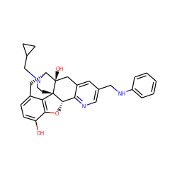 Oc1ccc2c3c1O[C@H]1c4ncc(CNc5ccccc5)cc4C[C@@]4(O)[C@@H](C2)N(CC2CC2)CC[C@]314 ZINC000013487526