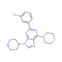 Oc1cccc(-c2nc(N3CCOCC3)c3ncn(C4CCNCC4)c3n2)c1 ZINC000045352202