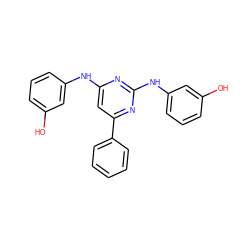 Oc1cccc(Nc2cc(-c3ccccc3)nc(Nc3cccc(O)c3)n2)c1 ZINC000114331336