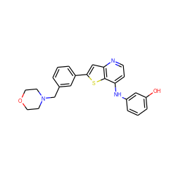 Oc1cccc(Nc2ccnc3cc(-c4cccc(CN5CCOCC5)c4)sc23)c1 ZINC000095587687