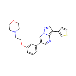 c1cc(OCCN2CCOCC2)cc(-c2cnc3c(-c4ccsc4)cnn3c2)c1 ZINC000013819809