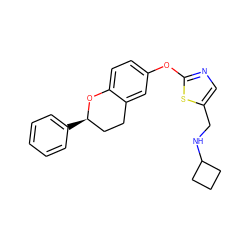 c1ccc([C@@H]2CCc3cc(Oc4ncc(CNC5CCC5)s4)ccc3O2)cc1 ZINC000145451687