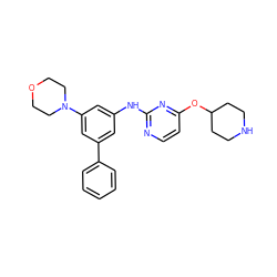 c1ccc(-c2cc(Nc3nccc(OC4CCNCC4)n3)cc(N3CCOCC3)c2)cc1 ZINC001772608927