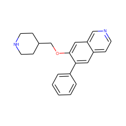 c1ccc(-c2cc3ccncc3cc2OCC2CCNCC2)cc1 ZINC000040940481