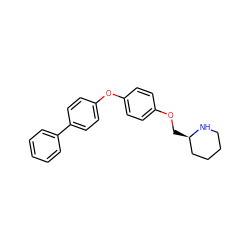 c1ccc(-c2ccc(Oc3ccc(OC[C@@H]4CCCCN4)cc3)cc2)cc1 ZINC000049088401