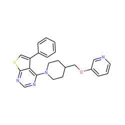 c1ccc(-c2csc3ncnc(N4CCC(COc5cccnc5)CC4)c23)cc1 ZINC000146529786